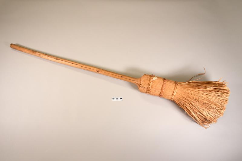Broom · Anishinaabe Plants · MuseumAnthro